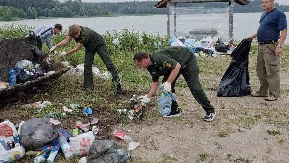 Фото: Комитет лесного хозяйства