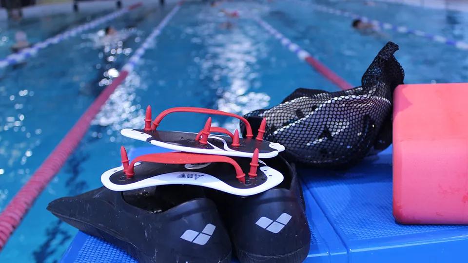 Фото: pxhere.com