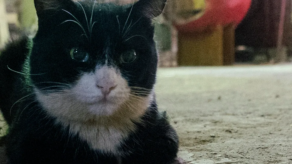 Фото: REGIONS/Наталия Надточая