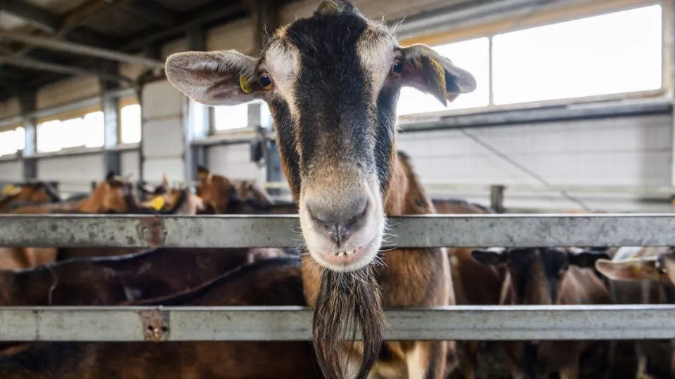 Фото: Министерство имущественных отношений Московской области