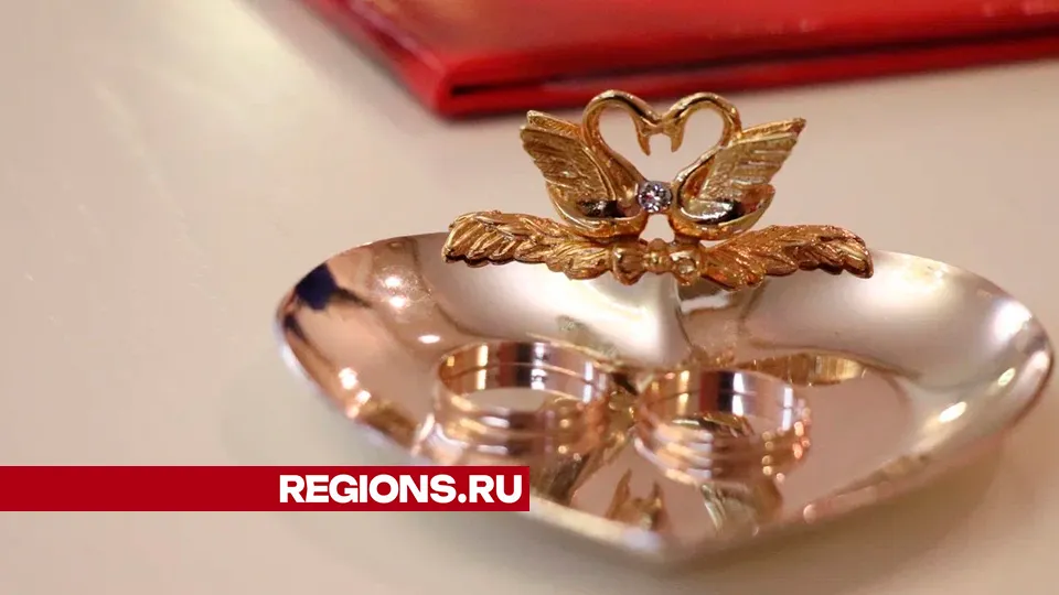 Фото: REGIONS/Василий Тремасов