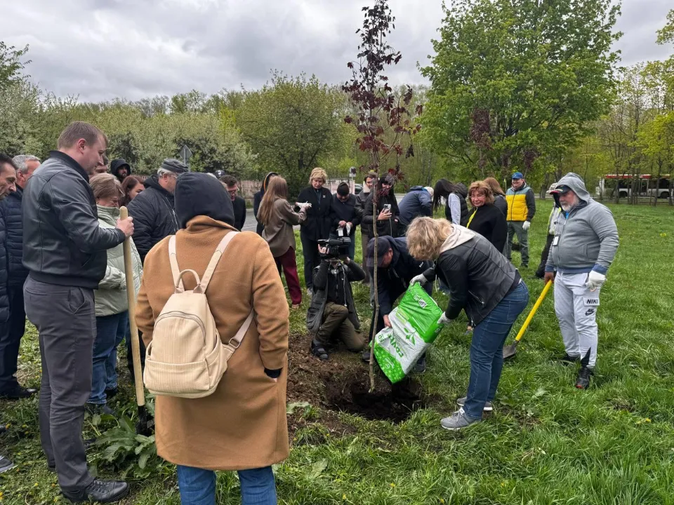 Жители засыпают землей и удобрениями саженцы. Фото: пресс-служба Администрации Ленинского г.о.