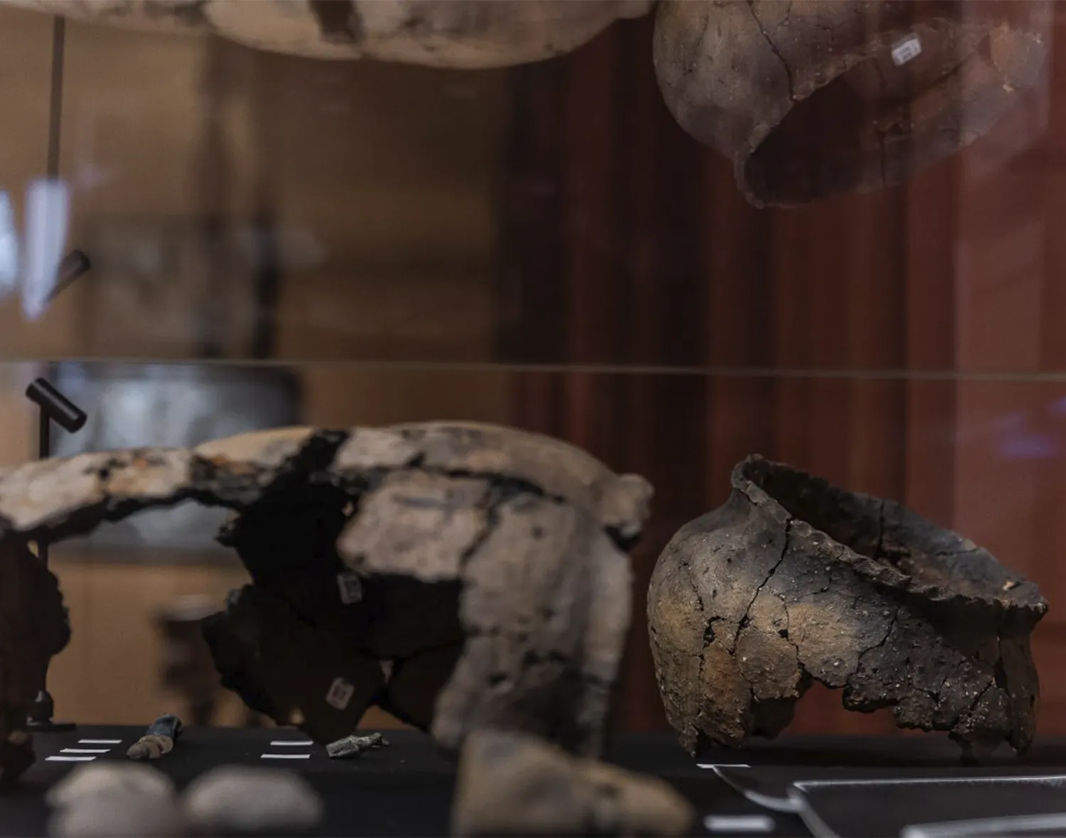 Фото: Коломенско-Зарайский государственный музей-заповедник