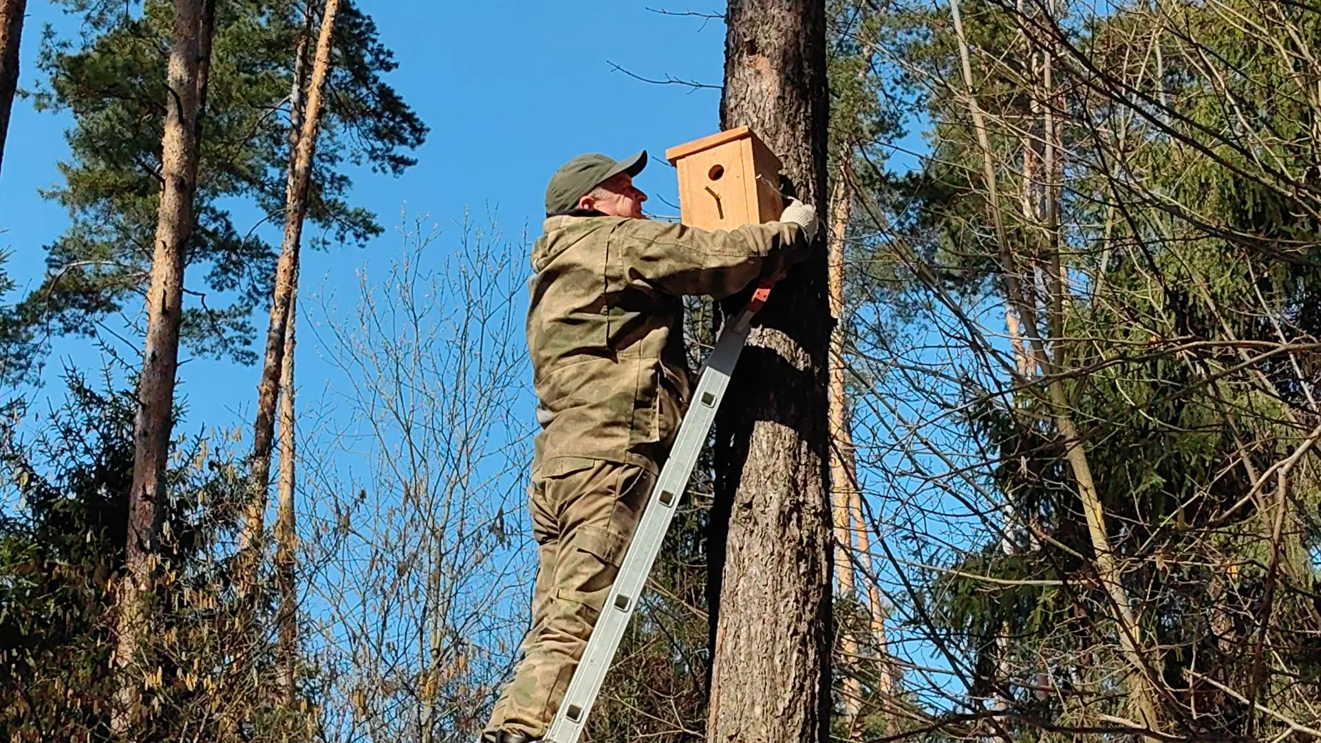 Елена Катасонова