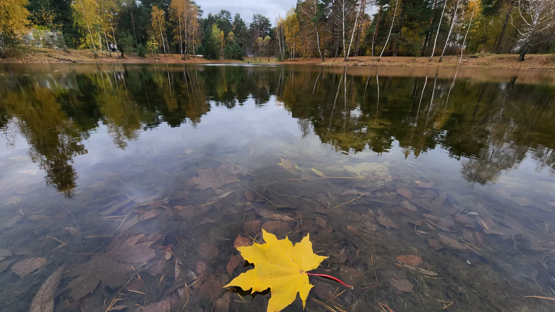 Фото: МедиаБанк Подмосковья/Марина Анисимова
