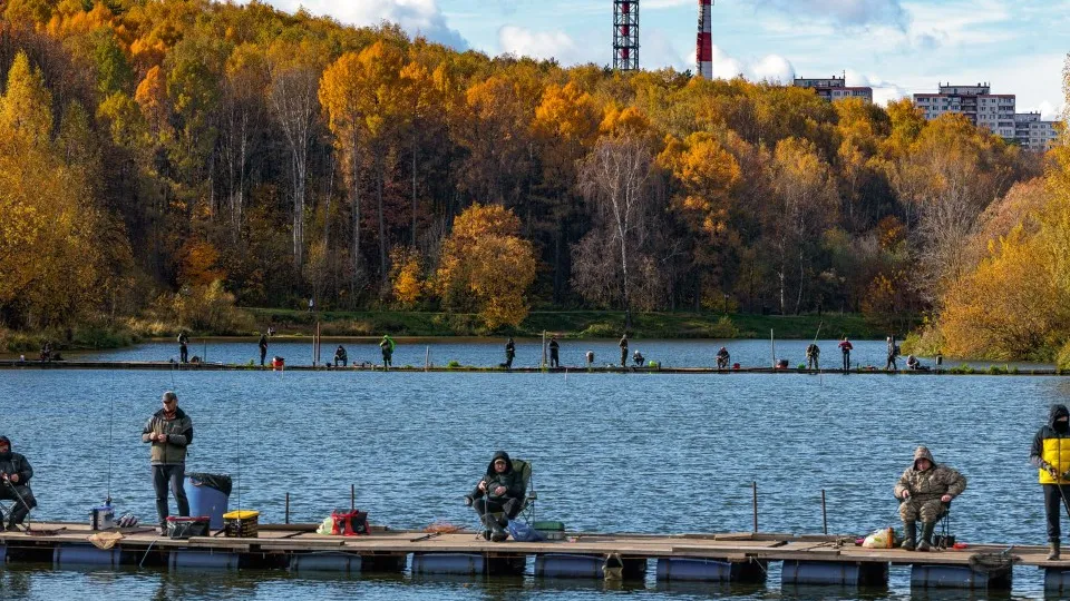 Фото: медиасток.рф