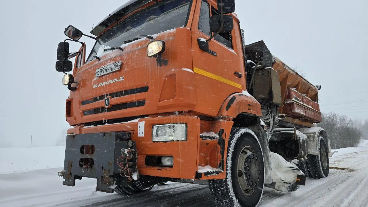 Яна Шаливская