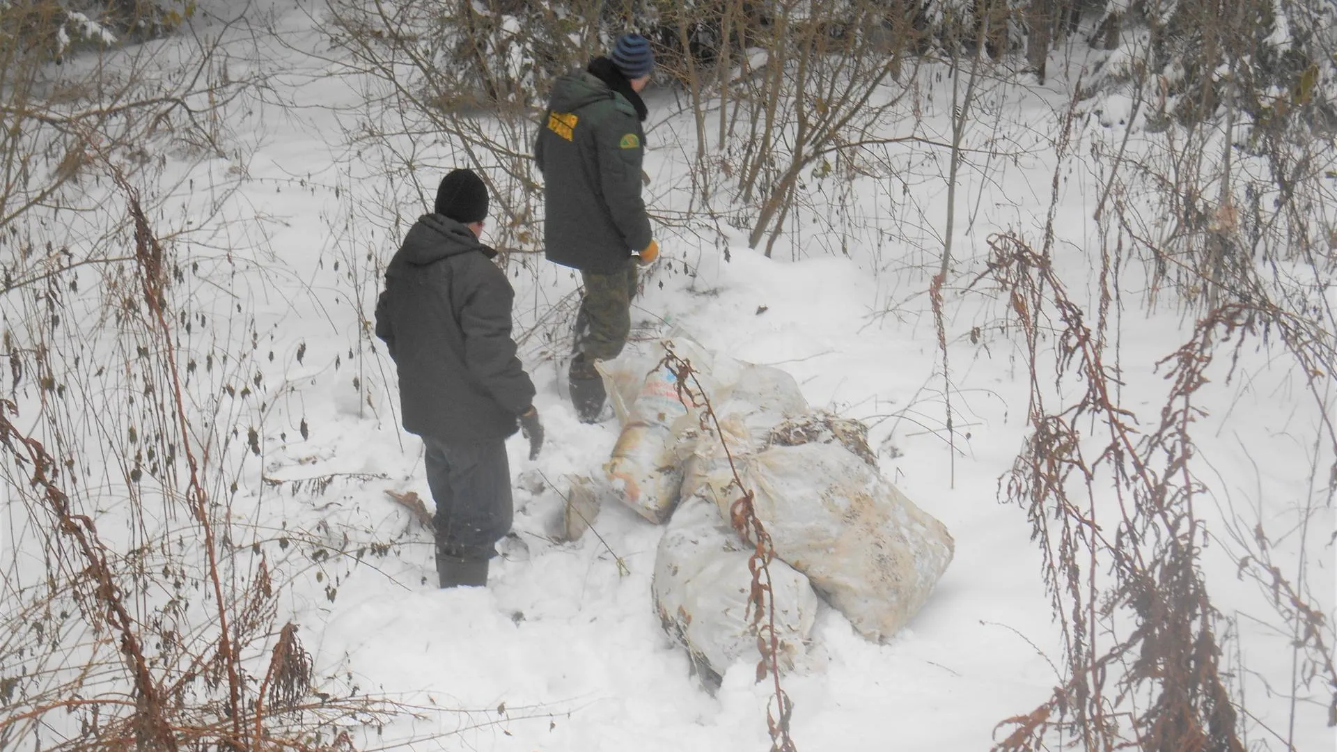 Комитет лесного хозяйства Московской области
