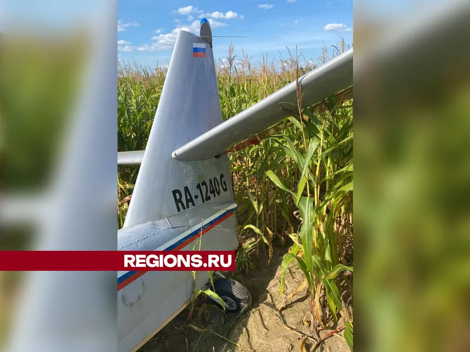 Фото: REGIONS<br>