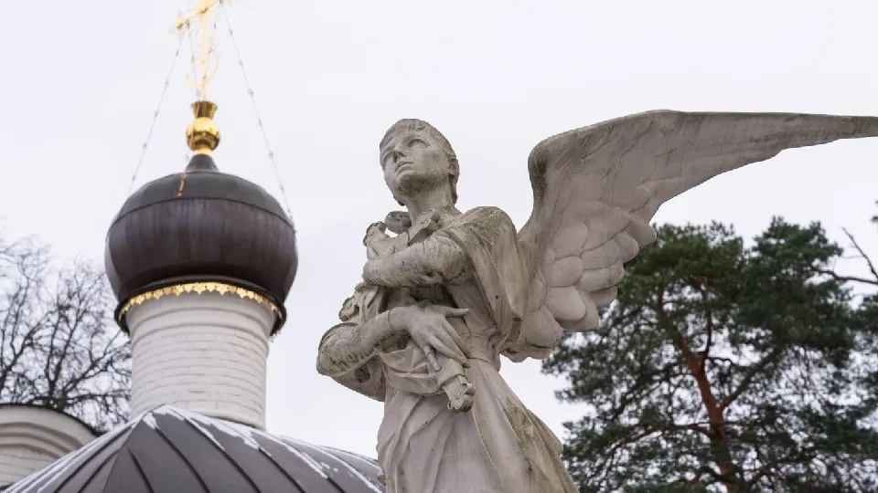 Фото: медиасток.рф