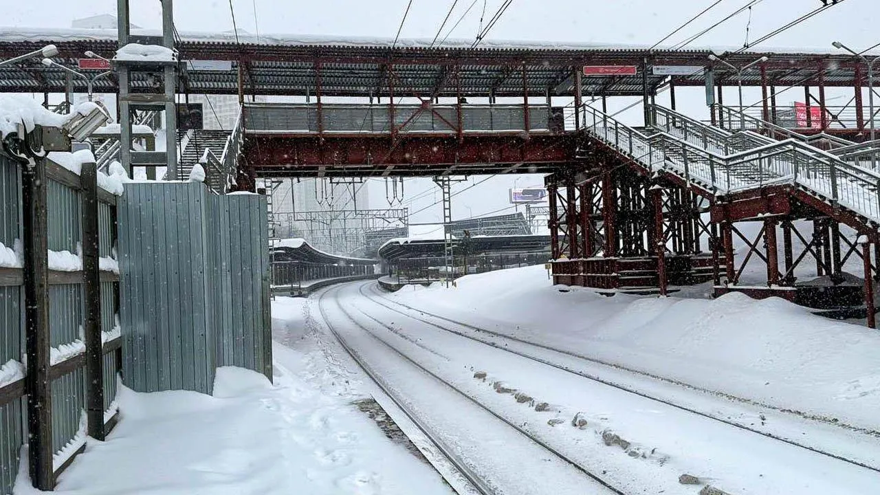 REGIONS/Анастасия Малышенко