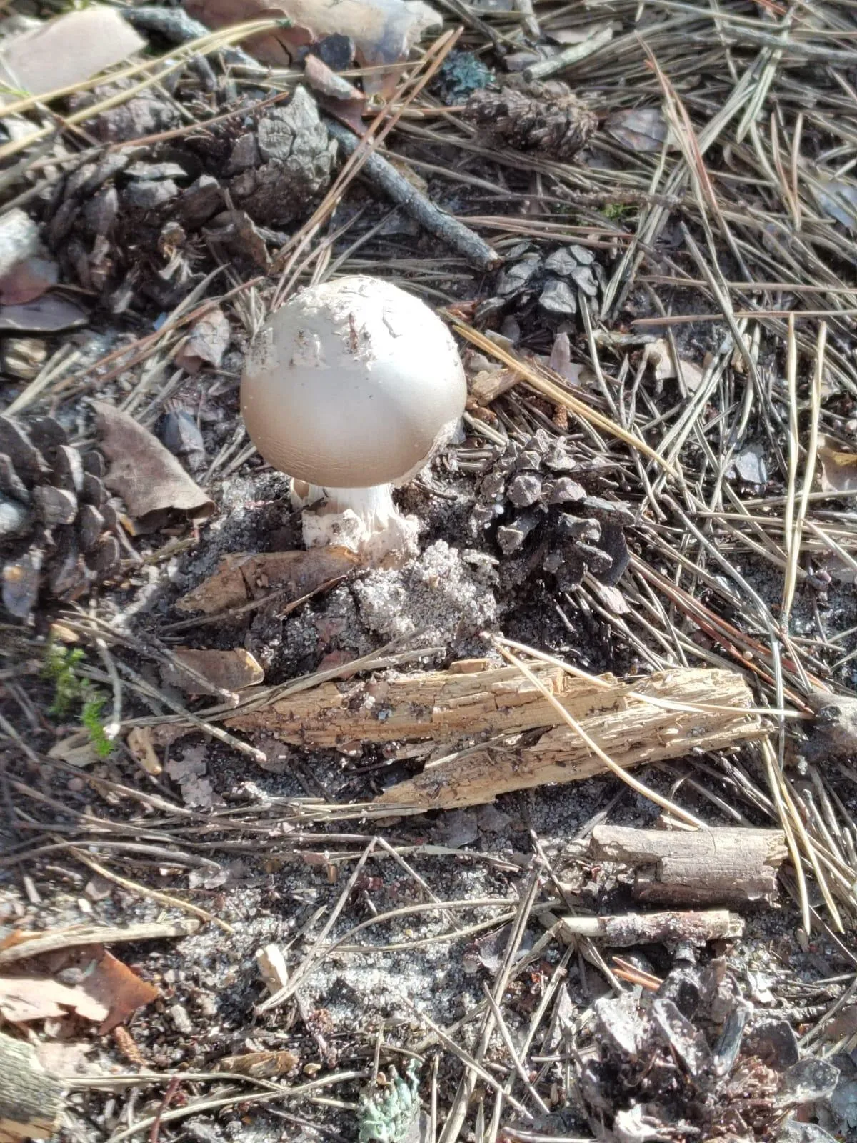 Фото: Анна Токорева