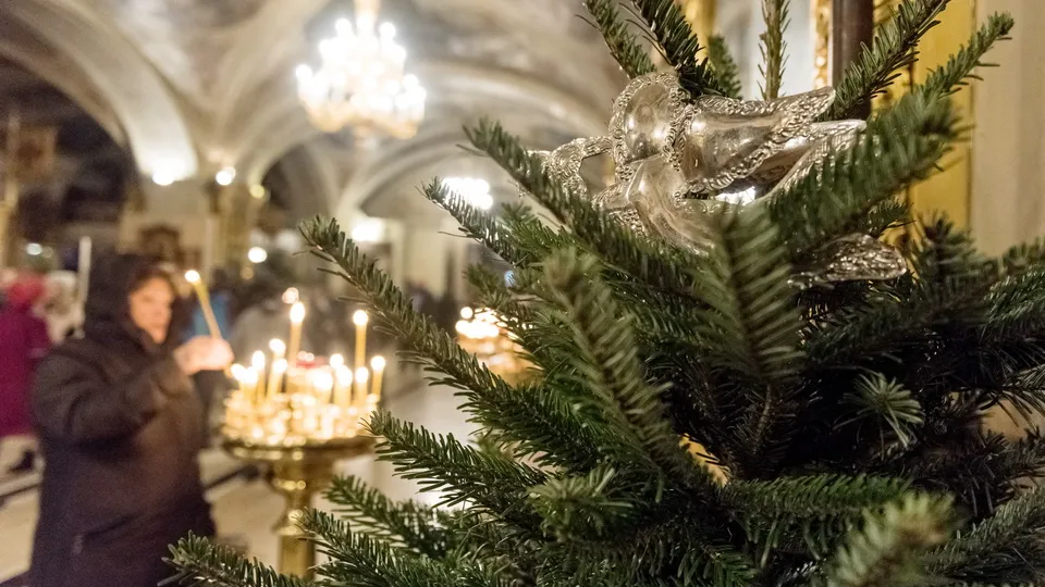 Фото: медиасток.рф