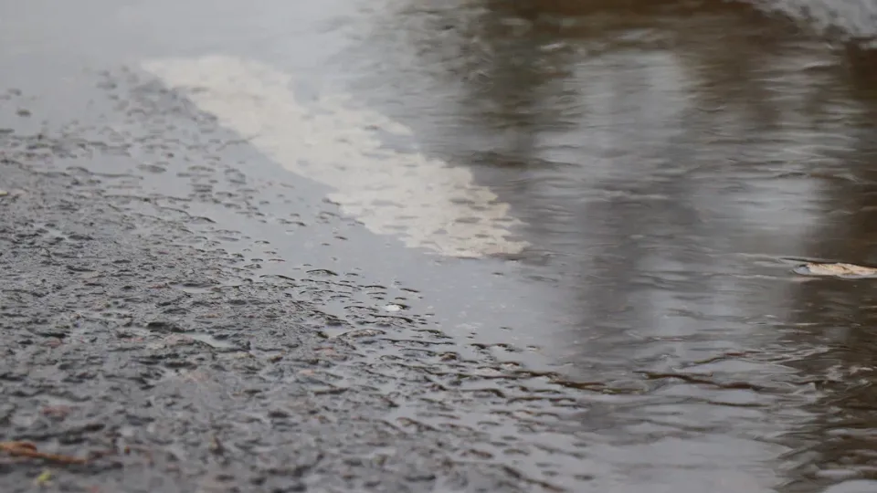 Фото: REGIONS/Василий Тремасов