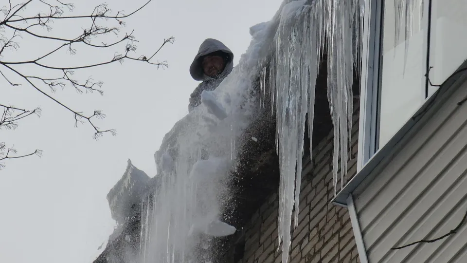 Фото: МедиаБанк Подмосковья/Артем Мишуков