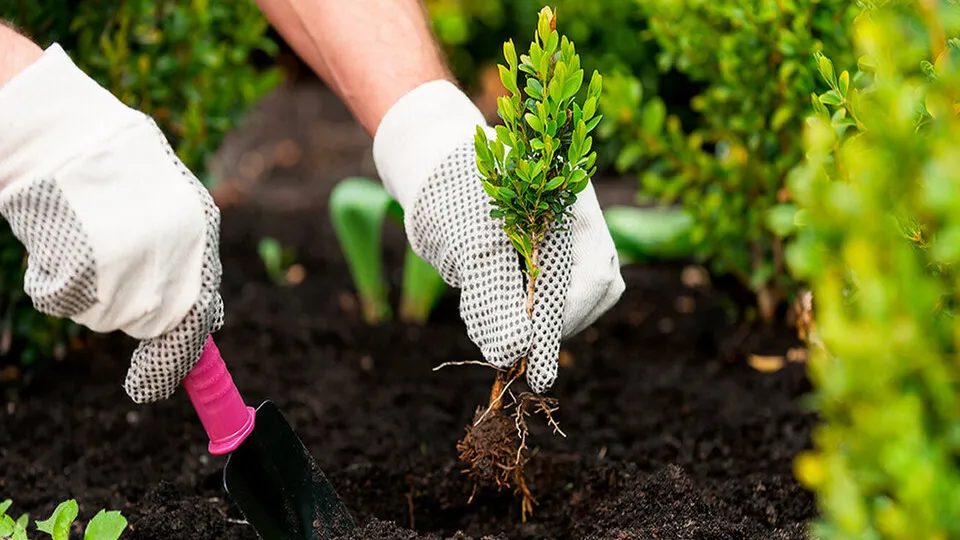 Фото: freepik.com