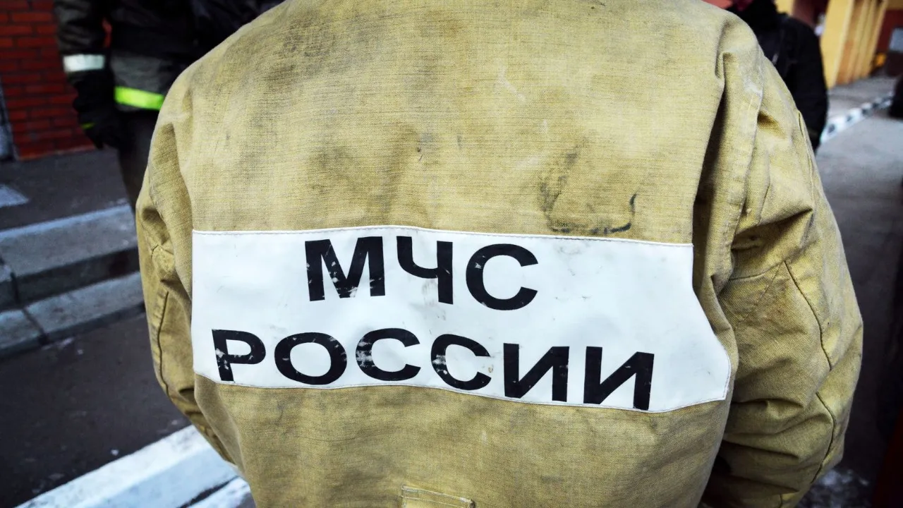 Фото: Медиаархив Подмосковья