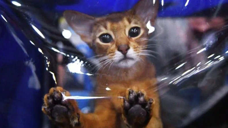 Наталья Селиверстова