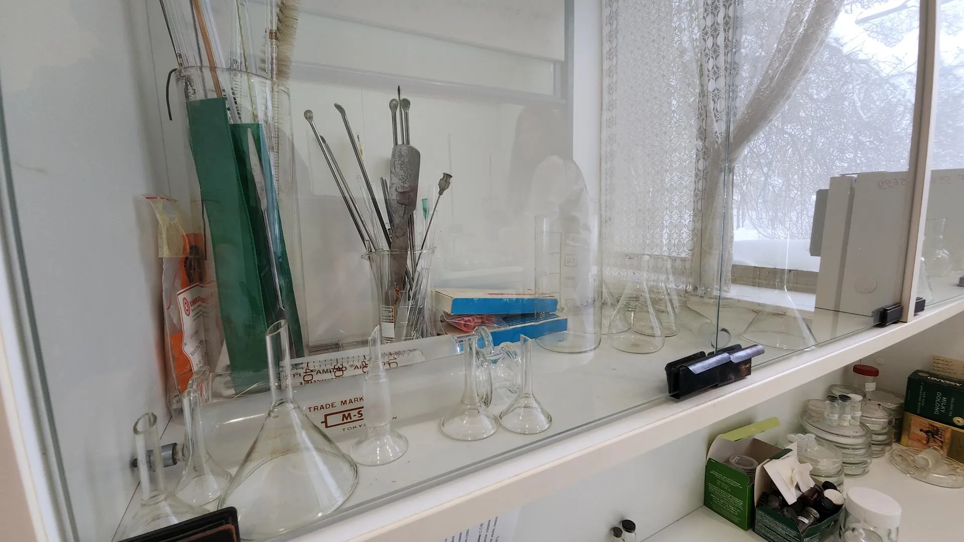 REGIONS/Иван Петрушин