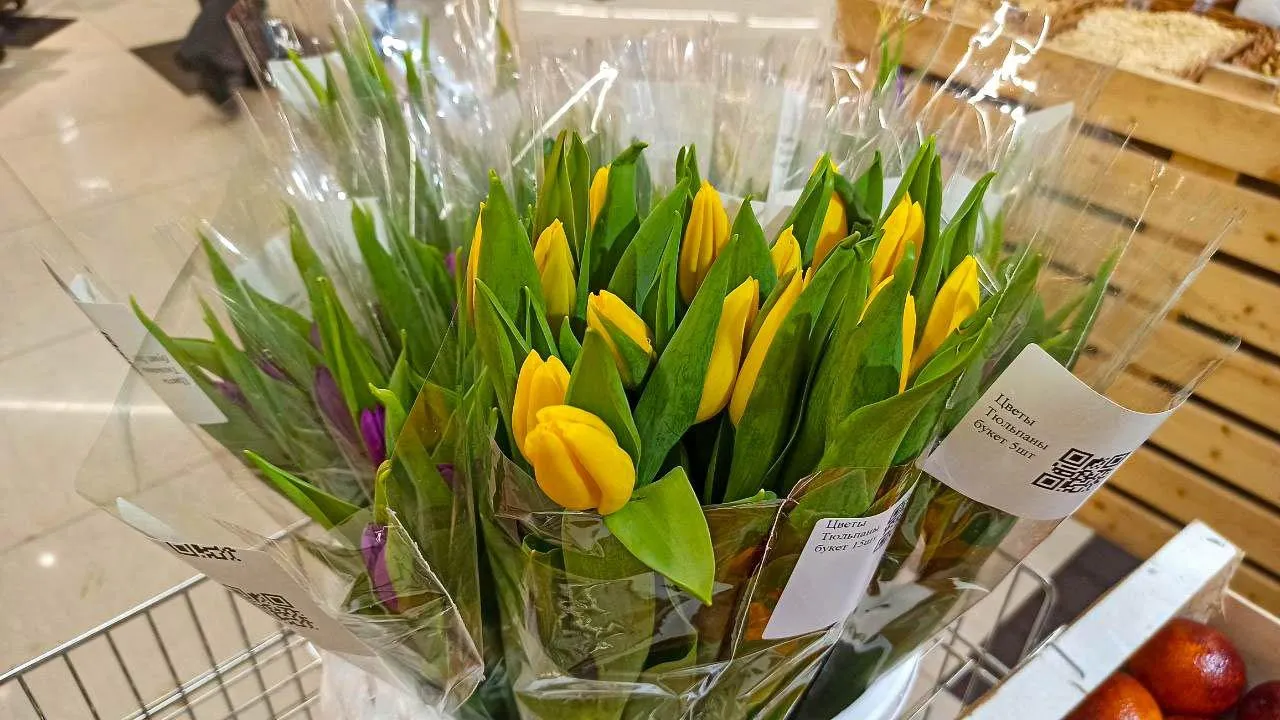 REGIONS/Эльвира Сафина