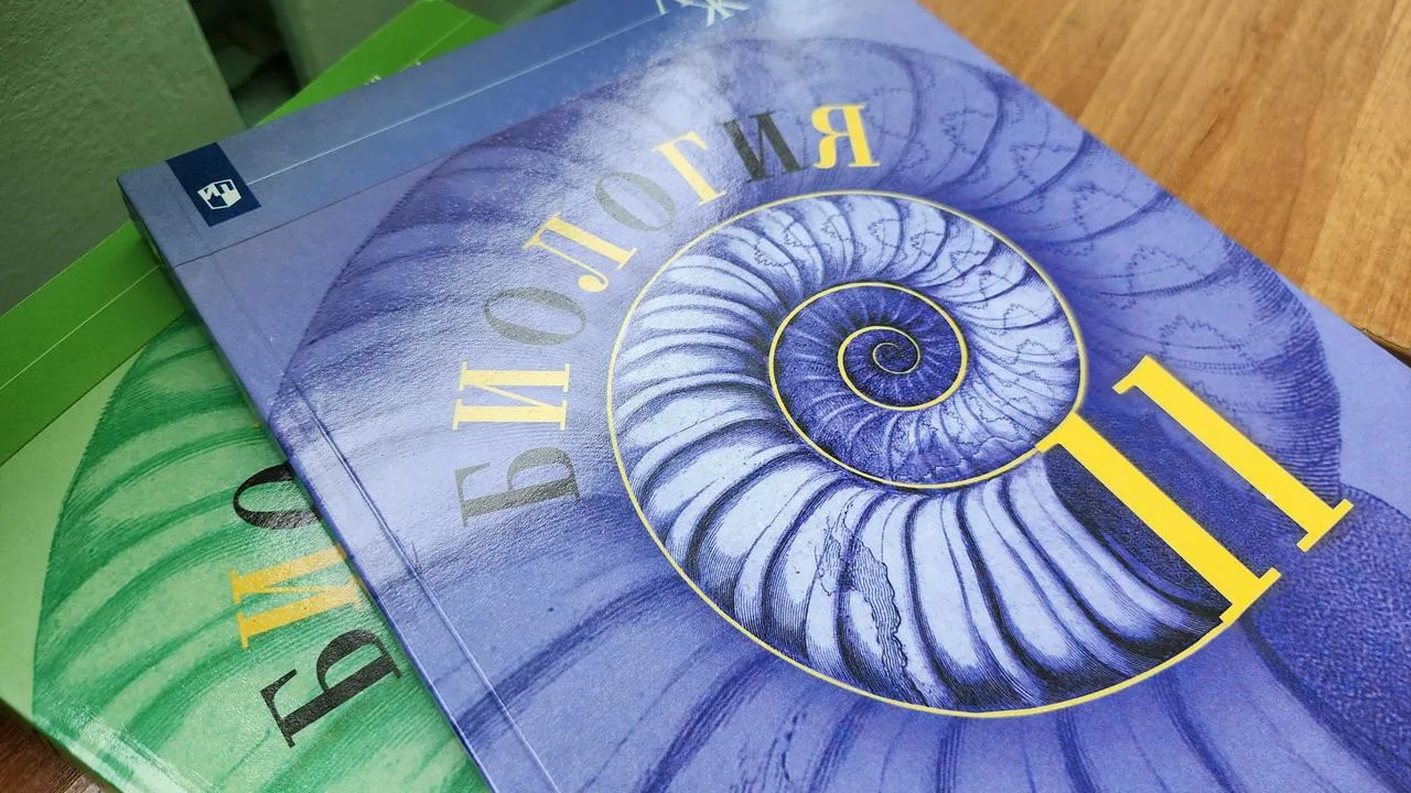 МедиаБанк Подмосковья/Екатерина Данилина