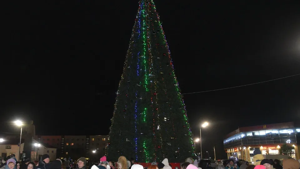 Фото: Владимир Останин