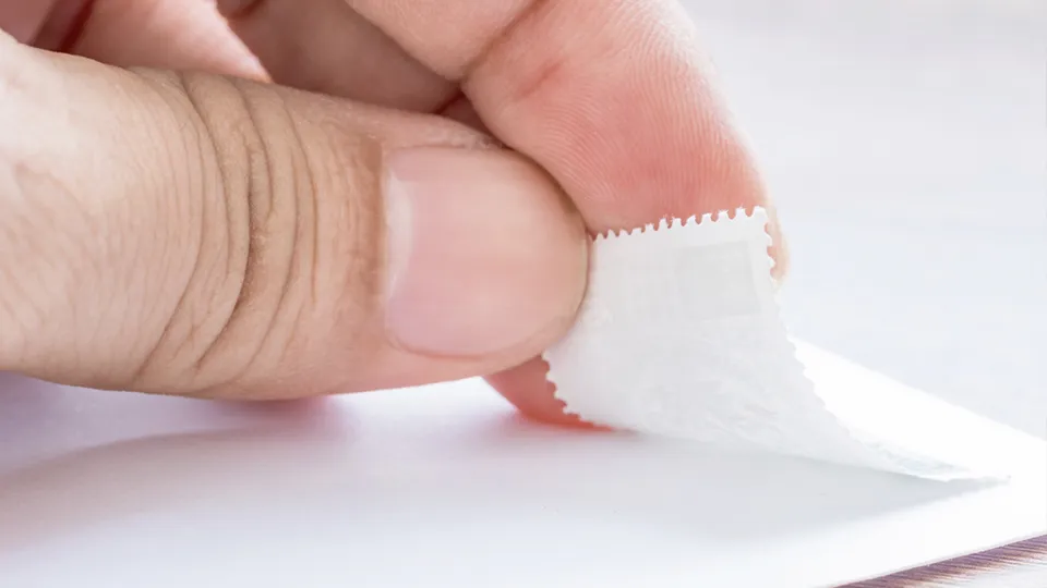 Фото: istockphoto.com