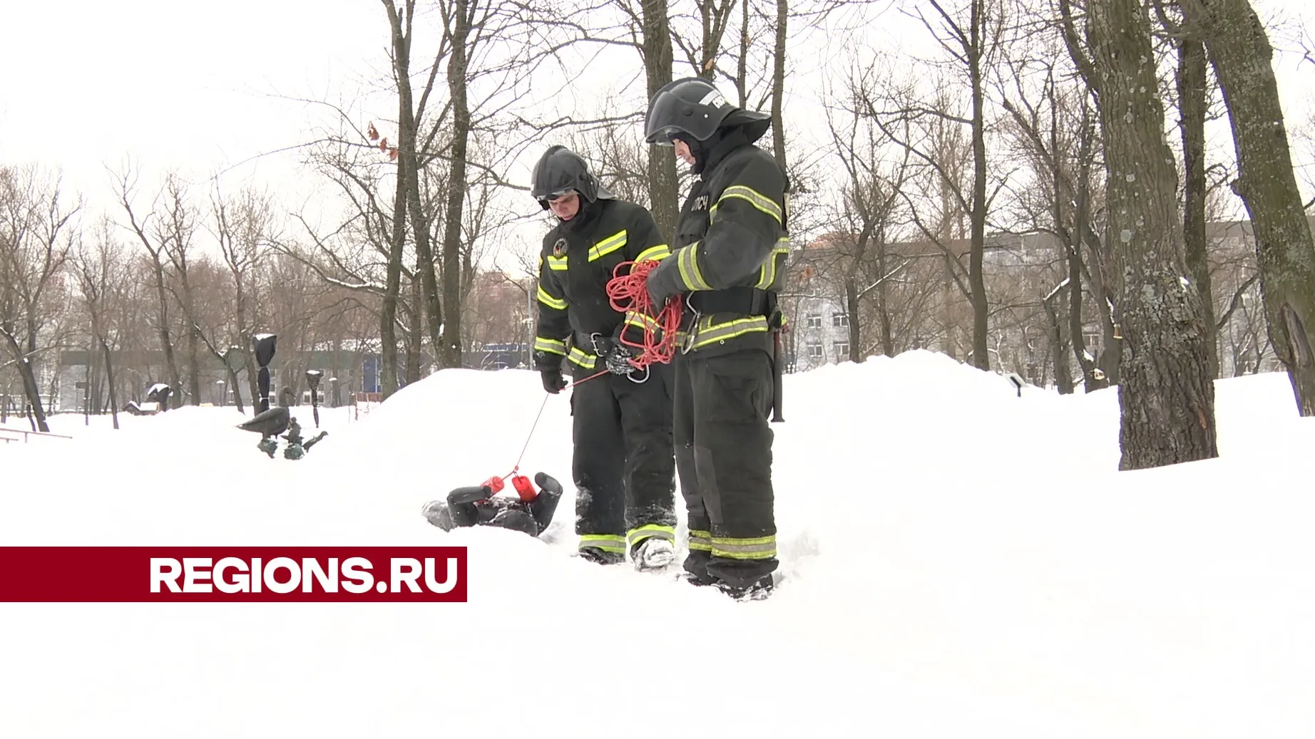 Текст, фото и видео – Ксения Казакова