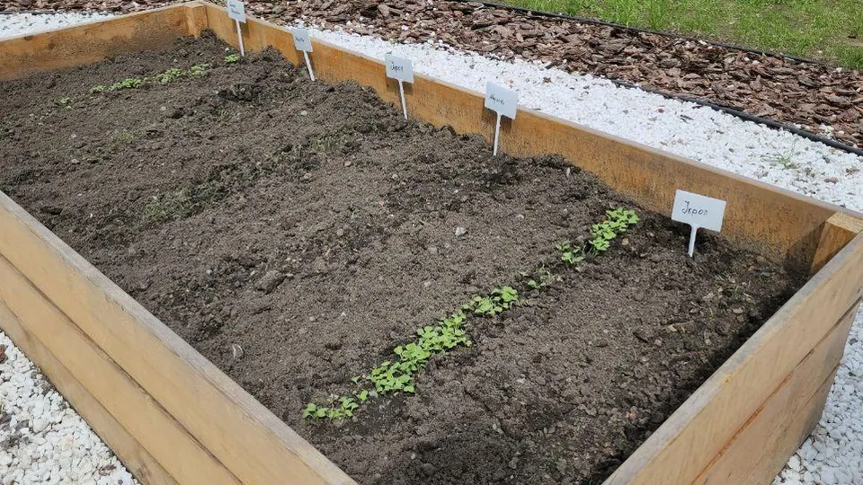 Фото: Наталья Лымарь