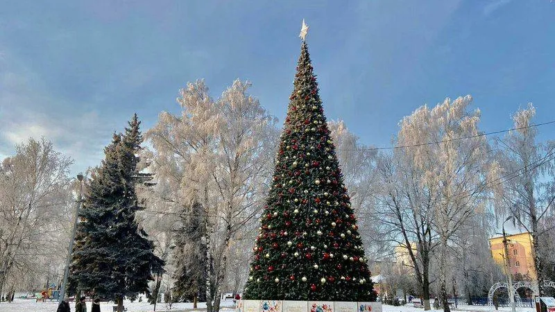 В Подмосковье составили ТОП парков для зимней прогулки