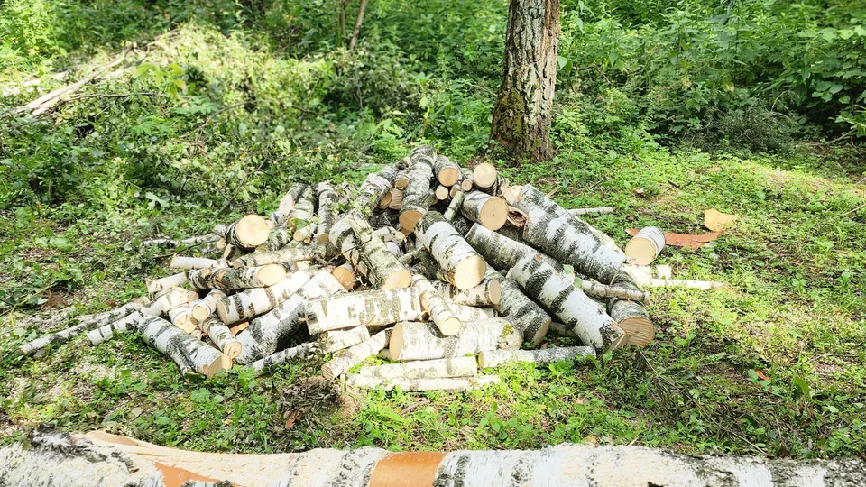 Фото: REGIONS/Наталия Надточая