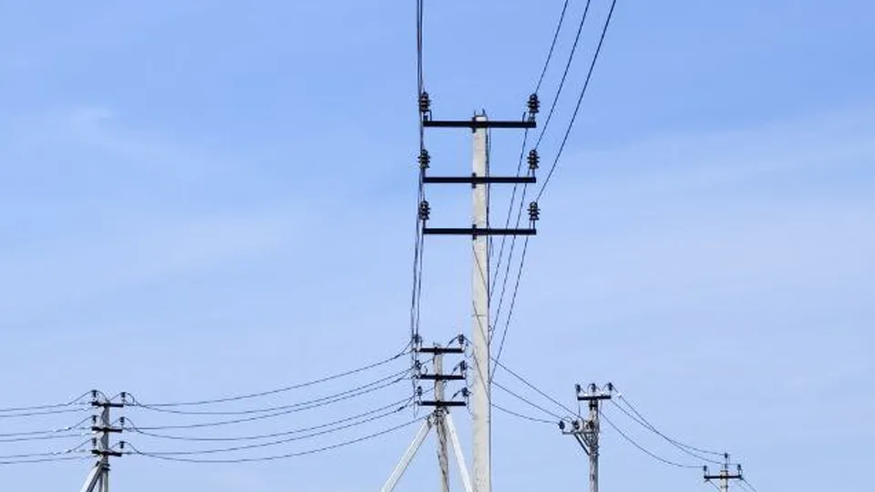 Фото: МедиаБанк Подмосковья/Наталия Надточая