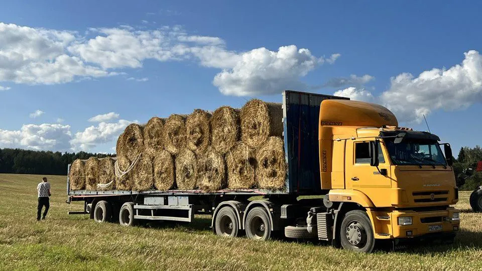 Фото: Ольга Соловьева