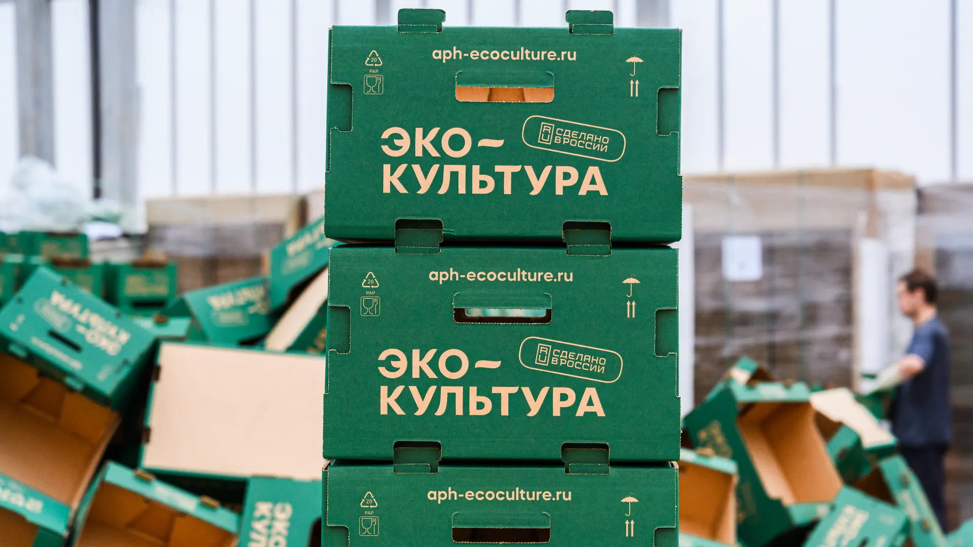 Экопривычки вошли в повседневную жизнь более половины россиян