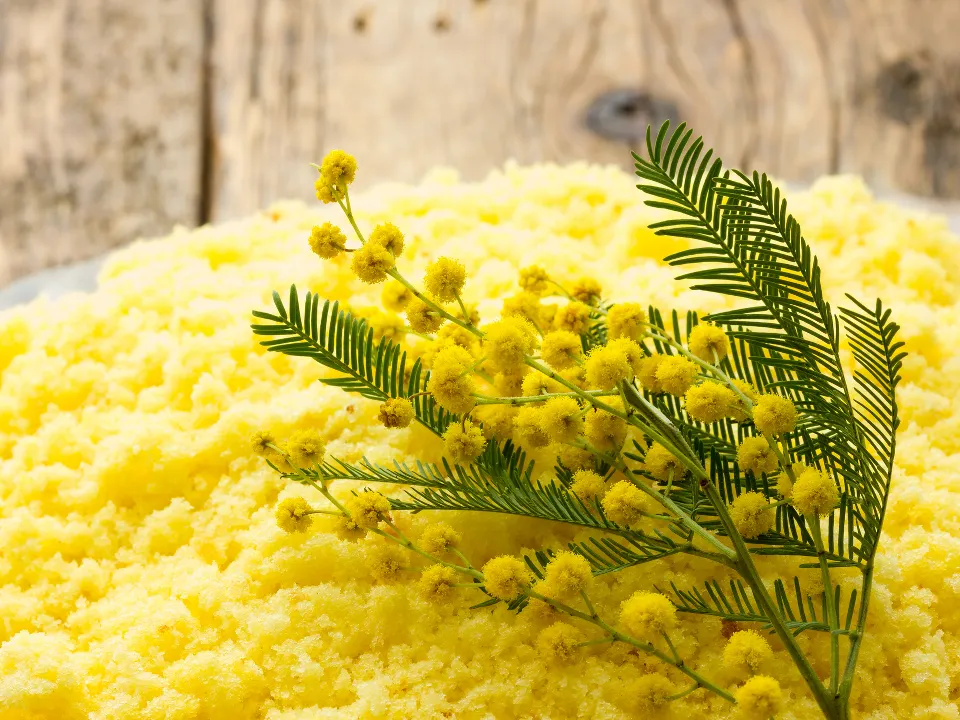 Фото: istockphoto.com/fpwing