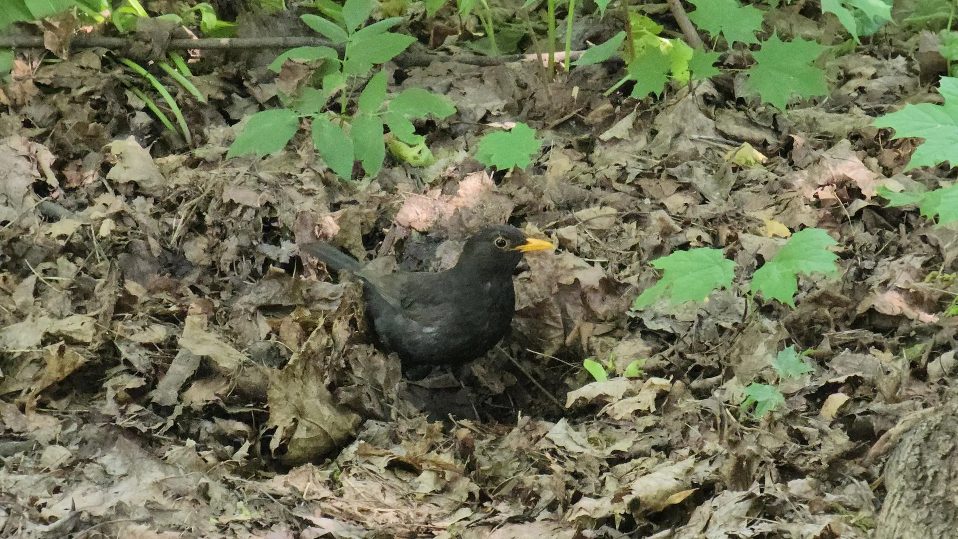 Фото: Артем Мишуков