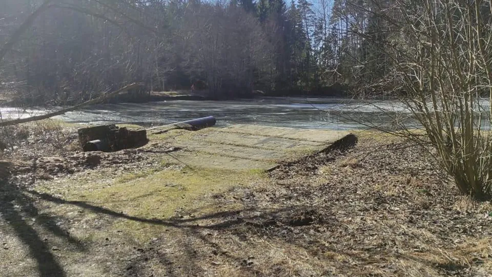 Фото: Комитет лесного хозяйства МО