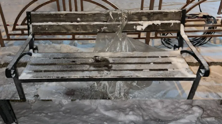 фото: соцсети