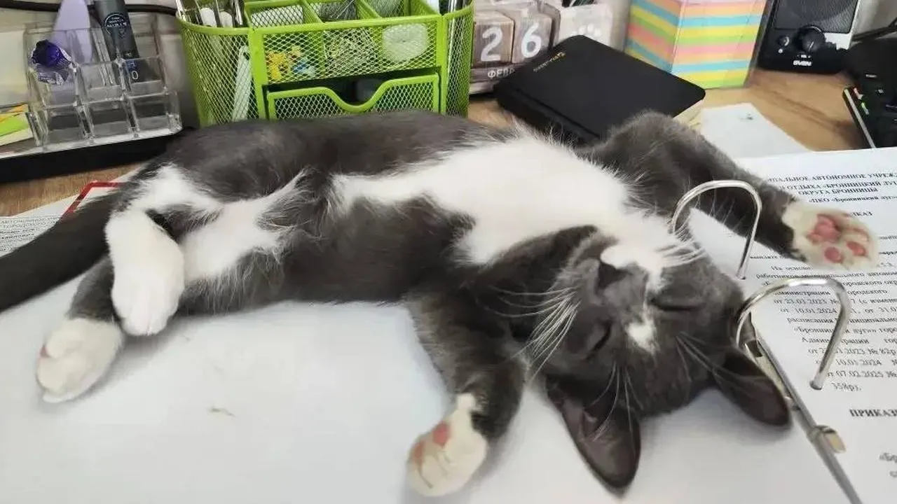 парк «Бронницкий луг»