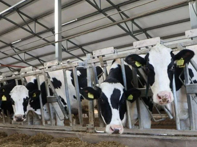 Фото: пресс-служба администрации Наро-Фоминского г.о.&nbsp; &nbsp; &nbsp; &nbsp; &nbsp; &nbsp;&nbsp;