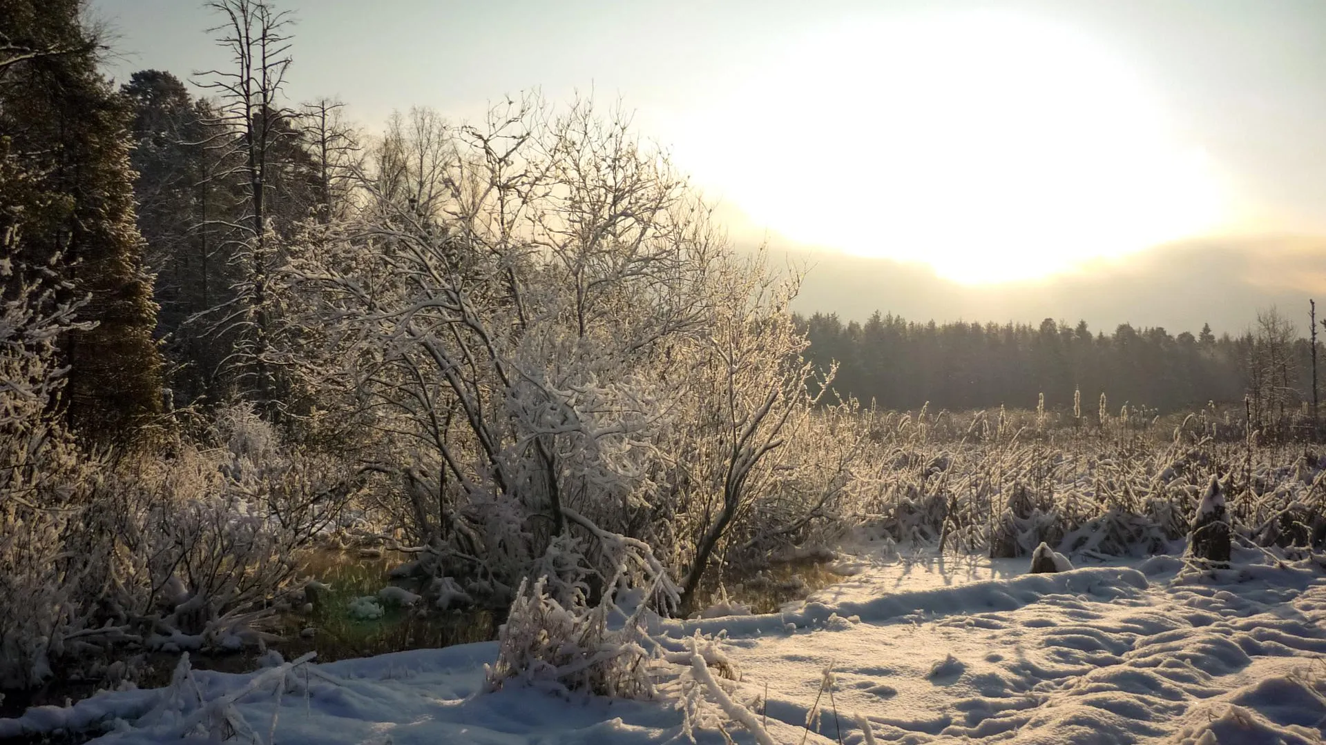 Фото: Евгений Лавряшин