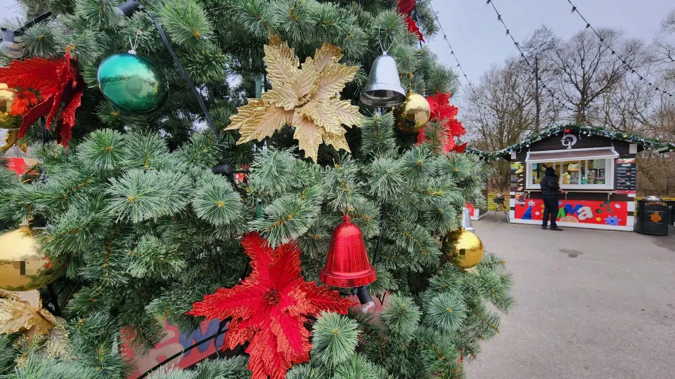 Фото: МедиаБанк Подмосковья/Дмитрий Алексеенко