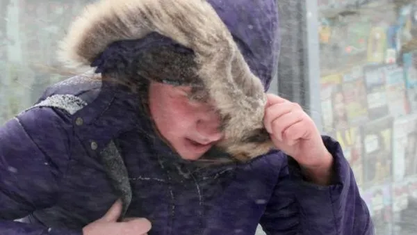 Сильный ветер и снег ожидаются в Подмосковье в воскресенье