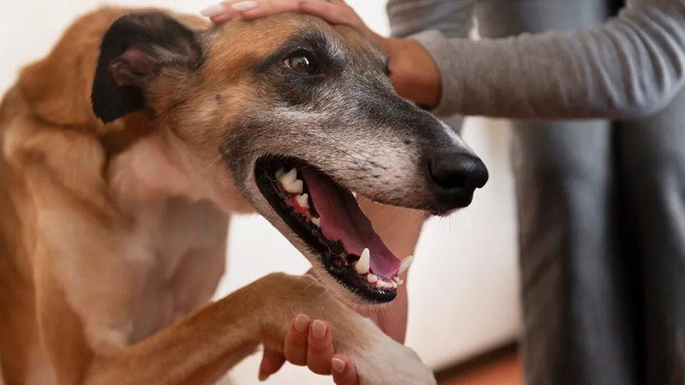 Фото: freepik.com