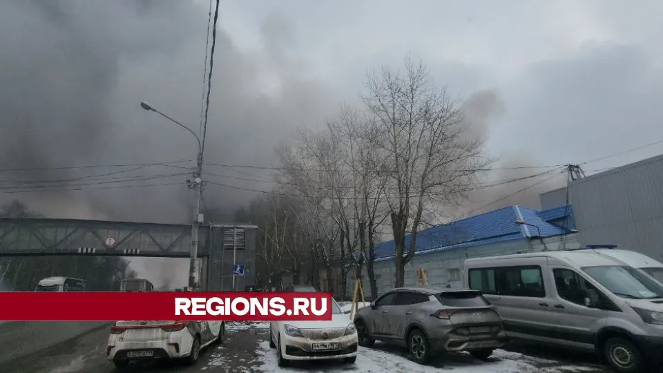 Фото: REGIONS/Алена Притула