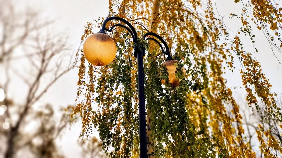 Фото: REGIONS/Алексей Селиверстов