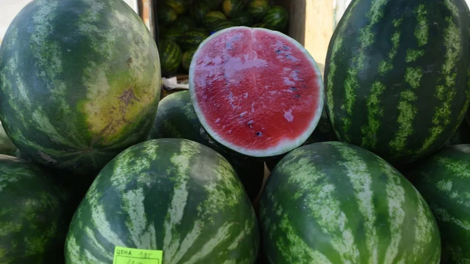 Фото: медиасток.рф