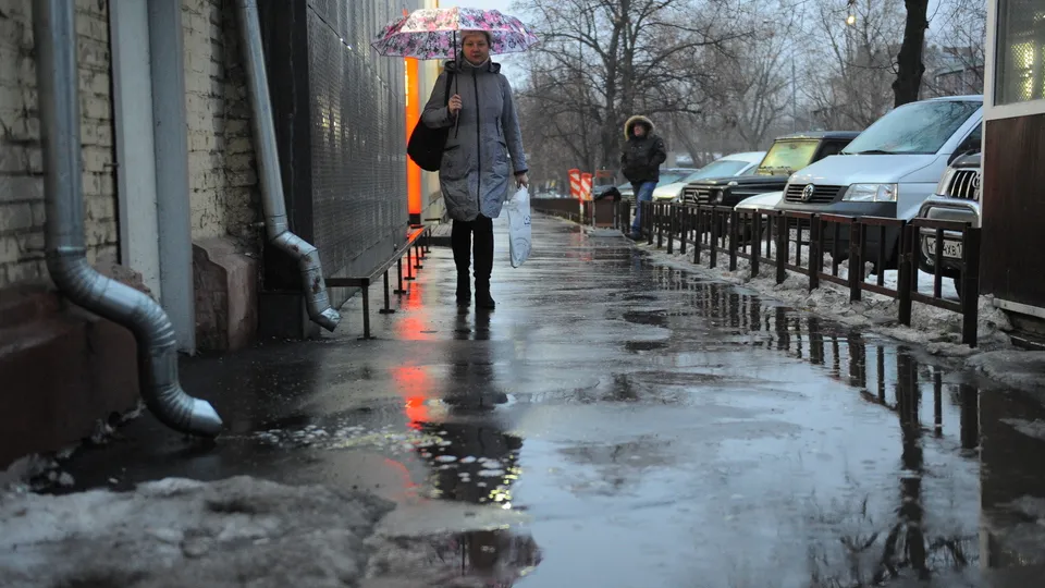 Фото: Медиаархив Подмосковья