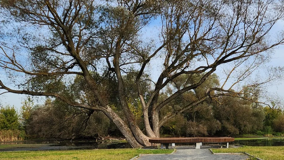 Фото: Ольга Антонова