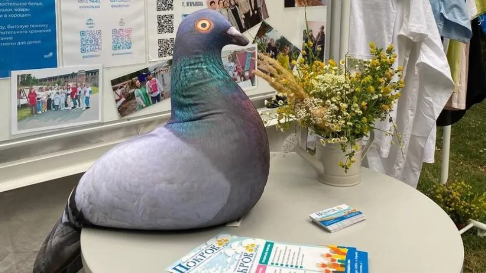 Фото: Центр гумпомощи «Покров»